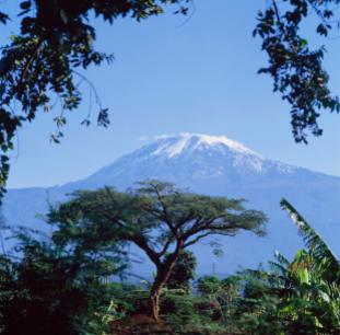 Mt. Kilimanjaro Moshi, Tanzania - David Constantine